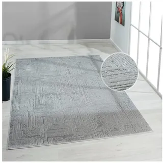 OTTO home Brakel Teppich 300 x 400 cm Grau