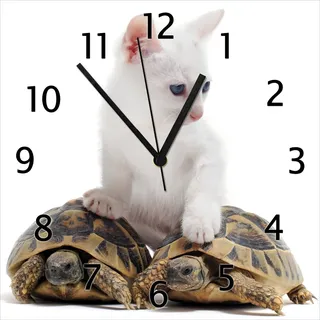 Wallario Design Wanduhr Katze auf Schildkröten aus Echtglas, Größe 30 x 30 cm - Weiß