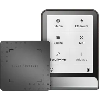 Ledger Flex Grau