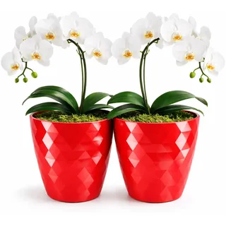 PECZEKO glänzender Blumentöpfe, Kunststoff-Pflanzentöpfe, dekorativer Blumentopf für große und kleine Blumen, 2er-Set Blumentöpf, Pflanztopf, Kräutertopf, (2 Pack) Rot, ø 30 cm