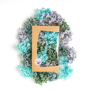 Getrocknete Hortensie Echt - Trockenblumen zum Basteln - Für natürliche Deko - Perfekt für schöne Herbst Dekoration (Blau Türkis)