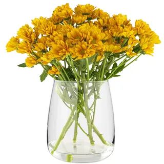 TREND FOR HOME Glasvase Gross H: 22.7 cm Vase für Pampasgras Glasvase Rund Vasen Groß Vasen Hochzeit Tulpenvase Vase Bauchig Durchsichtig Rosenvase Vase für Tulpen Breite Öffnung | Ø 19 cm | Zinnia