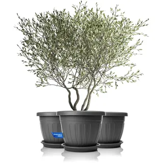 BigDean 3X Blumentopf mit Untersetzer rund ø50xH38 cm anthrazit | wetterfester Pflanzkübel - Wasserablauf UV-beständig - aus bruchsicherem Kunststoff - Innen + Außen geeignet - Made in Europe