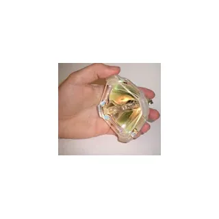 Nackte OSRAM Lampe OSRAM P-VIP 300/1.3 P22.5 PVIP30013P225