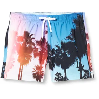 Champion Herren Rochester 1919 Mlb Beachshort Badehose, Azurro All-over (Wl001), L