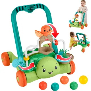 Fisher-Price Moves with You Schildkröte mehrfarbig