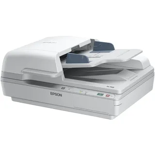Epson WorkForce DS-6500, 215,9 x 1016 mm, 1200 x 1200 DPI, 48 Bit, 24 Bit, Flachbett- & ADF-Scanner, Weiß