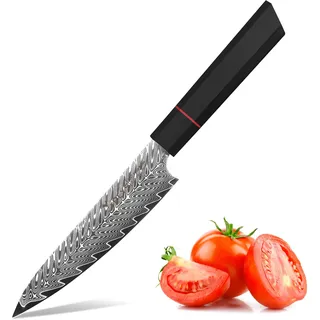 Plys Damast Obstmesser 14 cm Gemüsemesser, Japanisches Küchenmesser | Scharfer Vg10 Stahlkern, 67 Lagen Damaststahl-Schmiede, Achteckiger G10 Griff, mit Geschenkbox