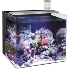 Ocean Free AT641A Nano Aquarium, Marineblau, Schwarz