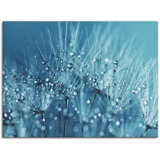 Artland Wandbild »Blaue glitzernde Pusteblume«, Blumen, (1 St.), als Leinwandbild, Poster in verschied. Größen Artland blau