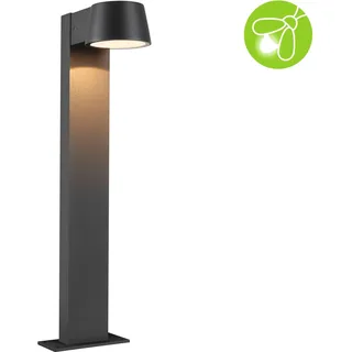 Paulmann Wegeleuchte Aluminium 50,0 cm 1 Stk. anthrazit