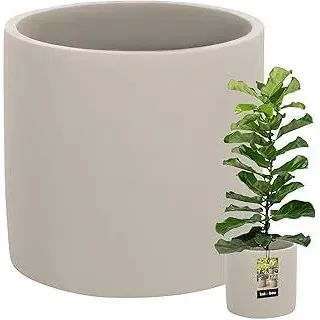 KOTARBAUBlumentopf Keramik groß Zylinder Ethno ? 20 cm Höhe 20 cm 1 St. Blumenübertopf Keramik Blumentopf Betonoptik kleine Übertöpfe Keramiktopf Pflanzen