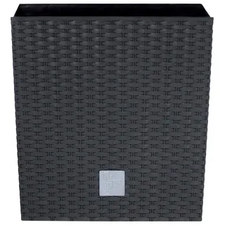 Prosperplast Rato 32 x 32 x 32,5 cm Anthrazit