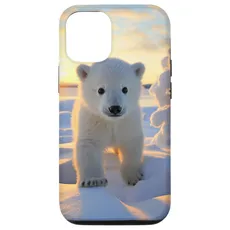 Hülle für iPhone 13 Eisbär, arktischer Nordpol, Alaska-Schnee, niedliche Eisbären