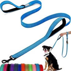 Hundeleine – mit Zwei gepolsterten Griffen, Zwei Hundeleinen-Modi, doppelseitige, reflektierende Nylon-Hundeleine für Training und Spaziergänge, perfekt für mittelgroße Hunde