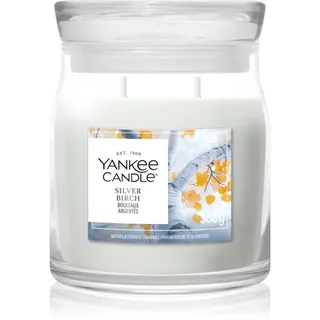 Yankee Candle Silver Birch Duftkerze 368 g