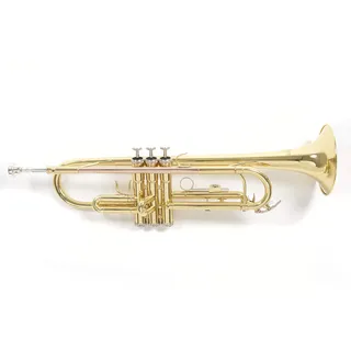 Gewa Roy Benson Bb-Trompete TR-101 (Professionell gestaltet mit ML Bohrung, mit Goldmessing Mundrohr, inklusive leichtem Rechtecketui, mit Rucksackgarnitur)
