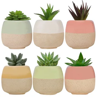BELLE VOUS Mini Blumentopf Keramik (6 STK) - L6 x H5,5 cm Kleine Töpfe für Kakteen Mit Ablauf Loch - Für Zuhause, Büro, Innen, Außen, Garten - Deko Sukkulenten & Kaktus Übertopf Klein