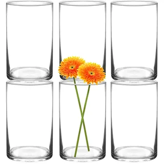 HYCKee 6er Set klare Vasen, 15 x 9 cm zylindrische Glasvase, minimalistische dekorative Vase für Kerzen, Blumen, Muscheln, Perlen, Windlichter Tischdekoration