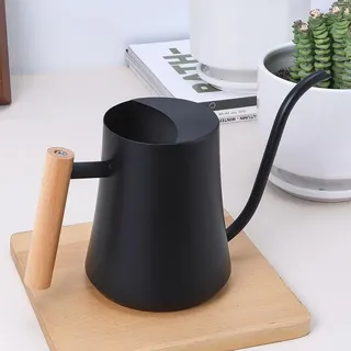 YHNDECO 1000ml Schwarz Gießkanne Klein Zimmerpflanzen, Mini Gießkanne, Edelstahl Langer Auslauf Giesskanne, Garten Gießkanne für Zimmerpflanzen Sukkulenten