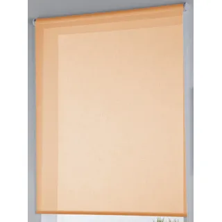 Rollertor Dresde, Rollo transparent glatt, 150 x 175 cm, Orange-farbe
