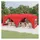 Faltpavillon 3 x 6 m inkl. 6 Seitenteile Rot