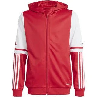adidas Squadra 25 Red 140