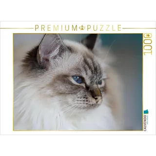 Calvendo Puzzle Heilige Birma Katze, seal tabby point 1000 Teile Puzzle quer | Lege-Größe cm Foto-Puzzle für glückliche Stunden