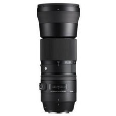 Bild 150-600 mm F5,0-6,3 DG OS HSM (C) Nikon F