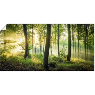 Artland Wandbild »Herbst im Wald II«, Waldbilder, (1 St.), als Alubild, Outdoorbild, Leinwandbild, Poster, Wandaufkleber Artland grün