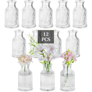 Glasseam Glas Kleine Vasen für Tischdeko: 12 Stück Klar Blumenvase Klein | 9.5cm Mini Vase, Modern Glasvasen Set für Blumen Bud Trockenblumen Pflanzen, Room, Wohnzimmer, Regal, Party, Home Deko