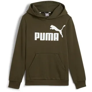 Puma Puma, Jungen, Pullover, Ess Big Logo Hoodie FL B, Grün, 140