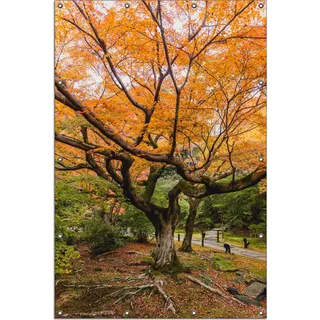 Wallario Outdoor-Poster für Garten oder Balkon, Motiv Gelber Ahornbaum im Herbst in Japan, in ca. 120 x 180 cm - Schwarz