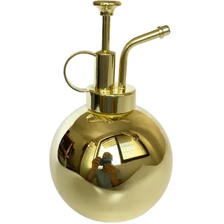 lianshi Pflanzennebel Sprühflasche Edelstahl Pflanzensprüher, Kleine Gießkanne Pflanzensprühflasche Moderne Gartenwerkzeuge für Zimmer-Topfpflanzen Bewässerung und Sprühen