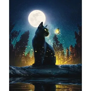 EOBROMD Schwarze Katze Diamond Painting Bilder, 5D Diamond Painting Bilder Katze Diamant Malerei Bilder Diamond Painting Kinder Rund Tiere Diamant Diamant Painting Bilder Set Dekoration 30x40cm