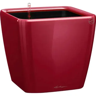 LECHUZA Quadro LS 28 Komplettset 28 x 28 x 26 cm scarlet rot hochglanz