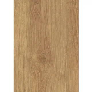 EGGER Classic Laminat 8 mm Eiche Dallas Honig