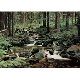 Papermoon Vlies- Fototapete Digitaldruck 350 x 260 cm, Nature