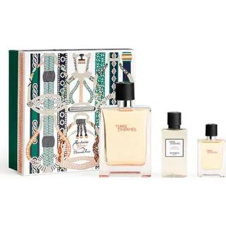 Terre d'Hermes Eau de Toilette 100 ml + Eau de Toilette 12,5 ml + After Shave Lotion 40 ml Geschenkset