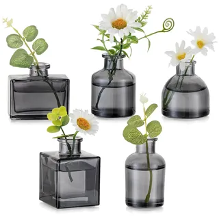 Hewory Mini Vasen Set 5er Minivasen Grau Kleine Vasen für Tischdeko | Assortierte Mini Blumenvase, Handflächengroß Glasvase, Modern Propagation Stastion für Esstisch Home Deko Wohnzimmer