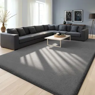 Homaxy Moderner Teppich Wohnzimmer Kurzflor Matte, 120x160 cm | Flauschig Waschbarer Teppiche Kuscheliger Extra Weich Rutschfest Bettvorleger fürs Kinderzimmer Schlafzimmer, Dunkelgrau