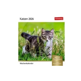 Harenberg Postkartenkalender Katzen 2026, 1 St.
