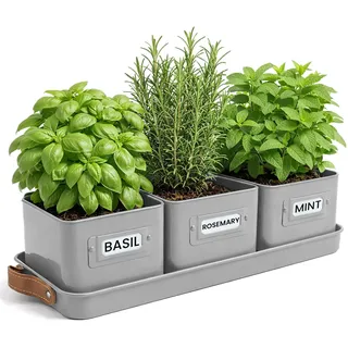 Green Thumbz 3 STK. Kräutertopf - Kräutertöpfe für Deinen Kräutergarten und Fensterbank Innen Dekoration - Basilikum Topf mit Ledergriffen & Untersetzer - Küchenkräuter Topf (Holzkohlegrau)