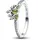 Damen-Ring
