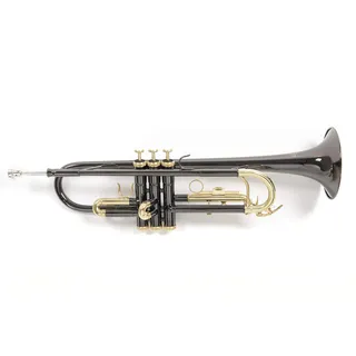 Gewa Roy Benson Bb-Trompete TR-101K (ML Bohrung, Edelstahl Ventile, Goldmessing Mundrohr, elegantes Design, im leichten Rechtecketui, mit Rucksackfunktion), Anthrazit