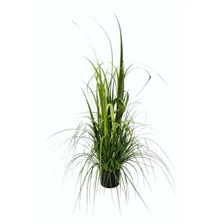 I.GE.A. »Gras im Topf«, grün,
