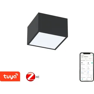 Immax NEO CANTO Smart Deckenleuchte 15x15cm 12W schwarz Zigbee 3.0 - Schwarz