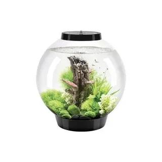 Oase 72005 biOrb CLASSIC 30 LED schwarz Aquarium 30 l mit LED-Beleuchtung