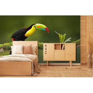 Oedim Wandtattoo, Vinyl, Tukan | Wandaufkleber für Wände | Wanddekoration | Vinyl | 150 x 100 cm | Dekoration für Esszimmer, Wohnzimmer, Schlafzimmer