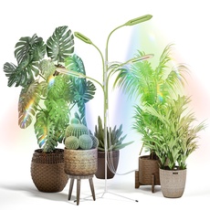 Diivoo Intelligente Pflanzenlampe Led Vollspektrum 4 Köpfe, Bluetooth Indoor Grow Light mit 3-Bein-Ständer, Verstellbarem Schwanenhalsrohr, 10 Einstellbaren Helligkeitsstufen, 4/8/12 Timer